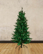 Load image into Gallery viewer, 5' Starry Alberta