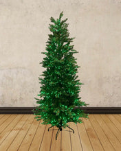 Load image into Gallery viewer, 6.5' Starry Alberta