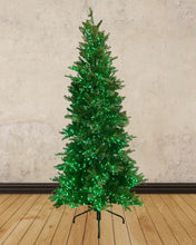 Load image into Gallery viewer, 7.5' Starry Alberta