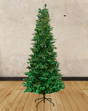 Load image into Gallery viewer, 9' Starry Alberta