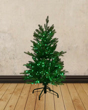 Load image into Gallery viewer, 3' Starry Alberta