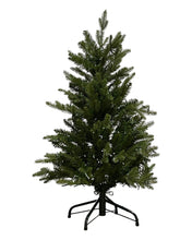 Load image into Gallery viewer, 3' Starry Alberta