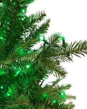 Load image into Gallery viewer, 12' Alberta Spruce