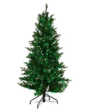 Load image into Gallery viewer, 5' Starry Alberta