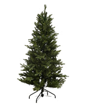 Load image into Gallery viewer, 5' Starry Alberta