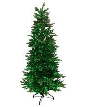 Load image into Gallery viewer, 6.5' Starry Alberta