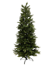 Load image into Gallery viewer, 6.5' Starry Alberta