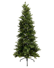 Load image into Gallery viewer, 7.5' Starry Alberta