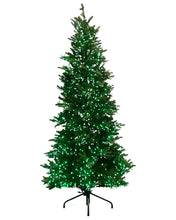 Load image into Gallery viewer, 7.5' Starry Alberta