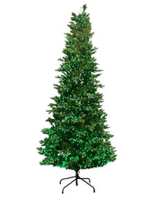 Load image into Gallery viewer, 9' Starry Alberta