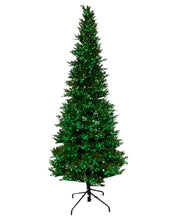 Load image into Gallery viewer, 12' Alberta Spruce