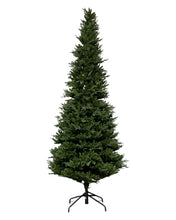 Load image into Gallery viewer, 12' Alberta Spruce