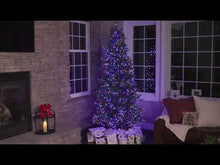 Load and play video in Gallery viewer, 6.5' Starry Alberta