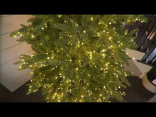 Load and play video in Gallery viewer, 7.5' Starry Alberta