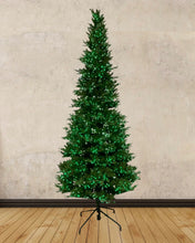 Load image into Gallery viewer, 12' Alberta Spruce