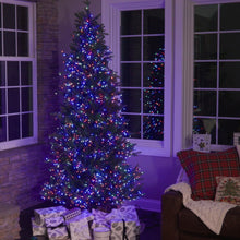 Load image into Gallery viewer, 7.5' Starry Alberta