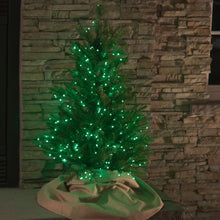 Load image into Gallery viewer, 3' Starry Alberta