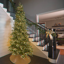 Load image into Gallery viewer, 9' Starry Alberta