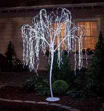 Load image into Gallery viewer, 8' Willow Tree